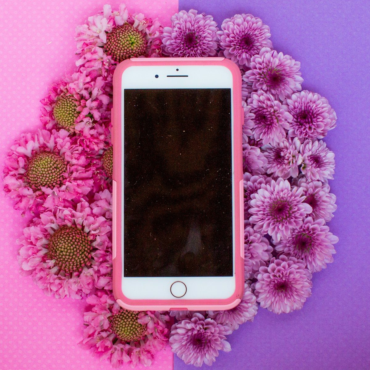 gold iPhone 6 with pink case on white flower background